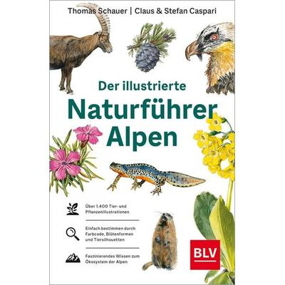Der illustrierte Naturführer Alpen, Taschenbuch von Stefan Caspari,Thomas Schauer, Blv, 978-3-96747-060-4