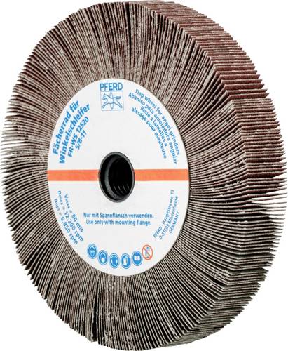 PFERD TOOLS 47802666 Fächerrad Durchmesser 125mm 2St.