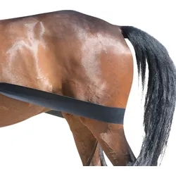 EQuest Körper Bandage, schwarz - Trainingshilfsmittel für Pferde, L
