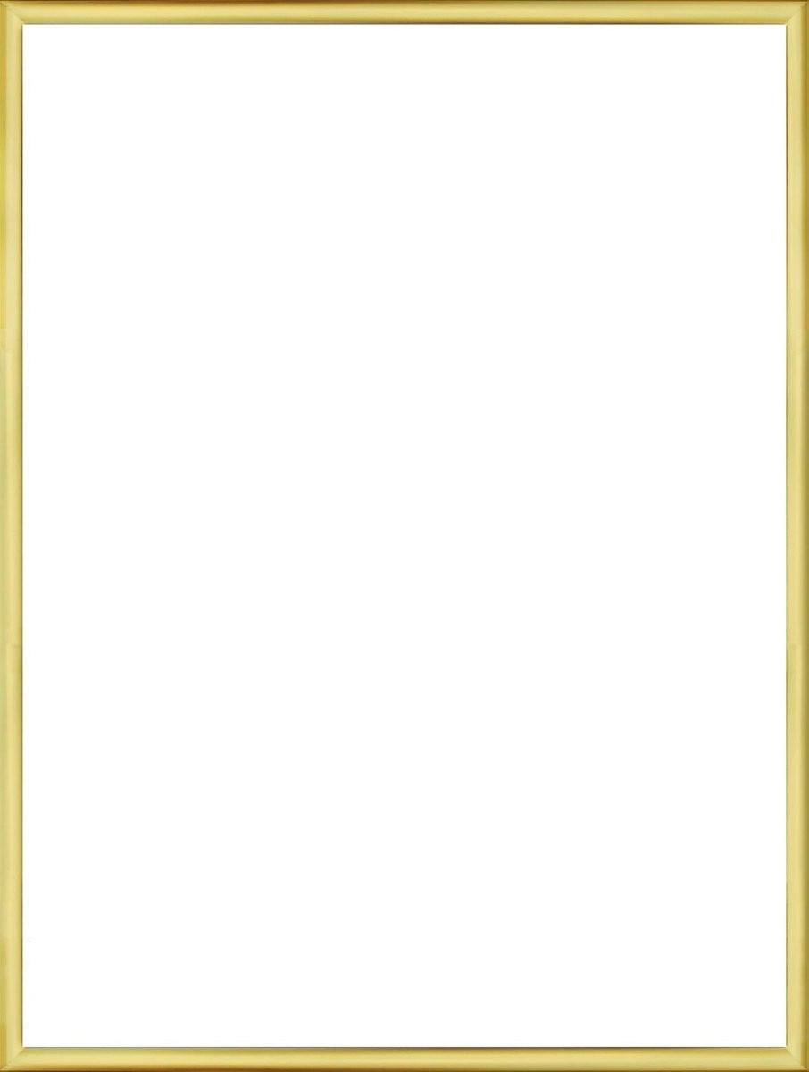 Homedecoration Fotolijst Goud Glans 24 x 64 cm