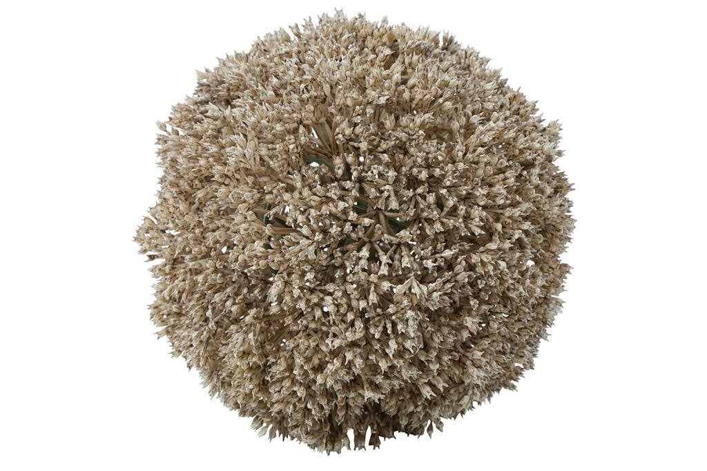 Countryfield deco bol eupatorium creme 15 cm