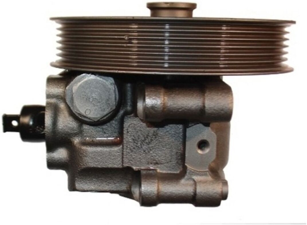 Hydraulische Lenkgetriebepumpe SPIDAN 54215