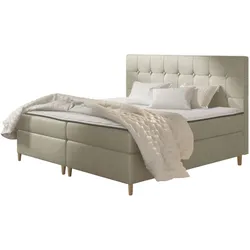 BOXBETT Avanti - H3