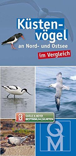 Quelle & Meyer Verlag - Küstenvögel: an Nord- und Ostsee im Vergleich (Quelle & Meyer Bestimmungskarten) - Preis vom 10.10.2026 11:48:34 h