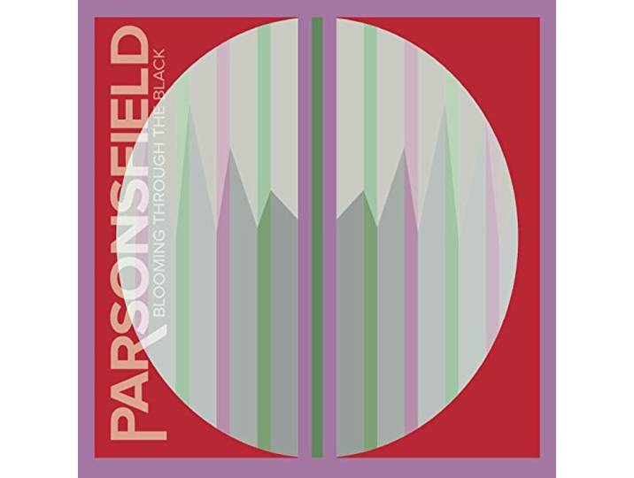 Parsonsfield - Blooming Through The..