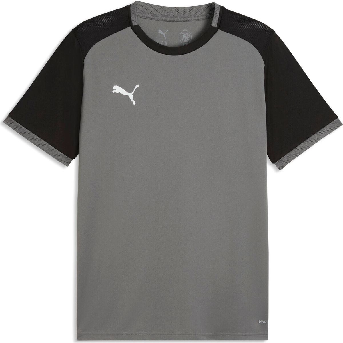 Puma Teamfinal Graphic Jersey Jr modern mint-puma black-adriatic (41) 164 706537-41-164