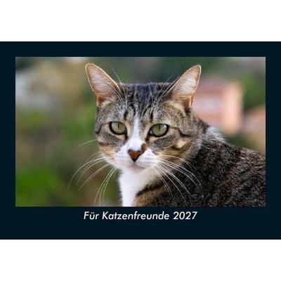 Für Katzenfreunde 2027 Fotokalender DIN A5