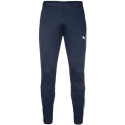 Puma, Herren, Sporthose, TeamLIGA Trainingshose Herren (XXL), Blau