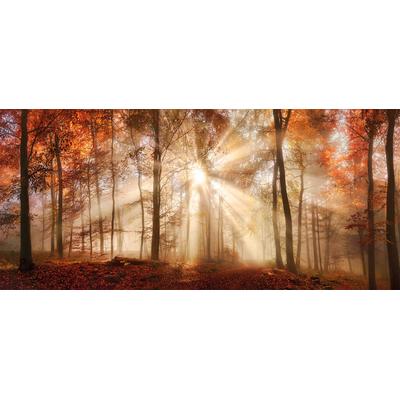 Bild BÖNNINGHOFF "Wandbild HERBSTWALD XXL 90x200 cm – Leinwandbild Keilrahmen Deko", braun (farbe bild(er): gelb, braun, rot), B:200cm H:90cm T:4,5cm, Canvas, MDF, Bilder, Bild, auf Keilrahmen gespannt