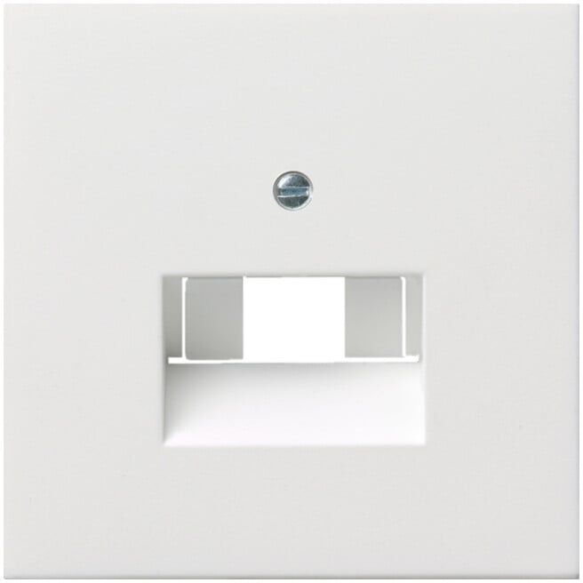 Gira Plaque centrale UAE/IAE rws/gl 0270112 (0270112)