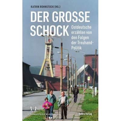 Der große Schock, Taschenbuch von , Bebra verlag, 978-3-89809-279-1