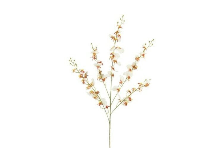 Countryfield zijden Phalaenopsis bloem crème 90 cm