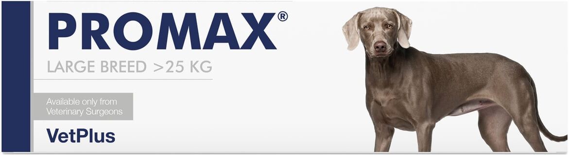 Vetplus Promax Raças Grandes 30ml