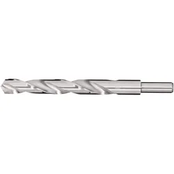 Tecwerk, Bohrereinsatz, Spiralbohrer DIN 338 Typ N