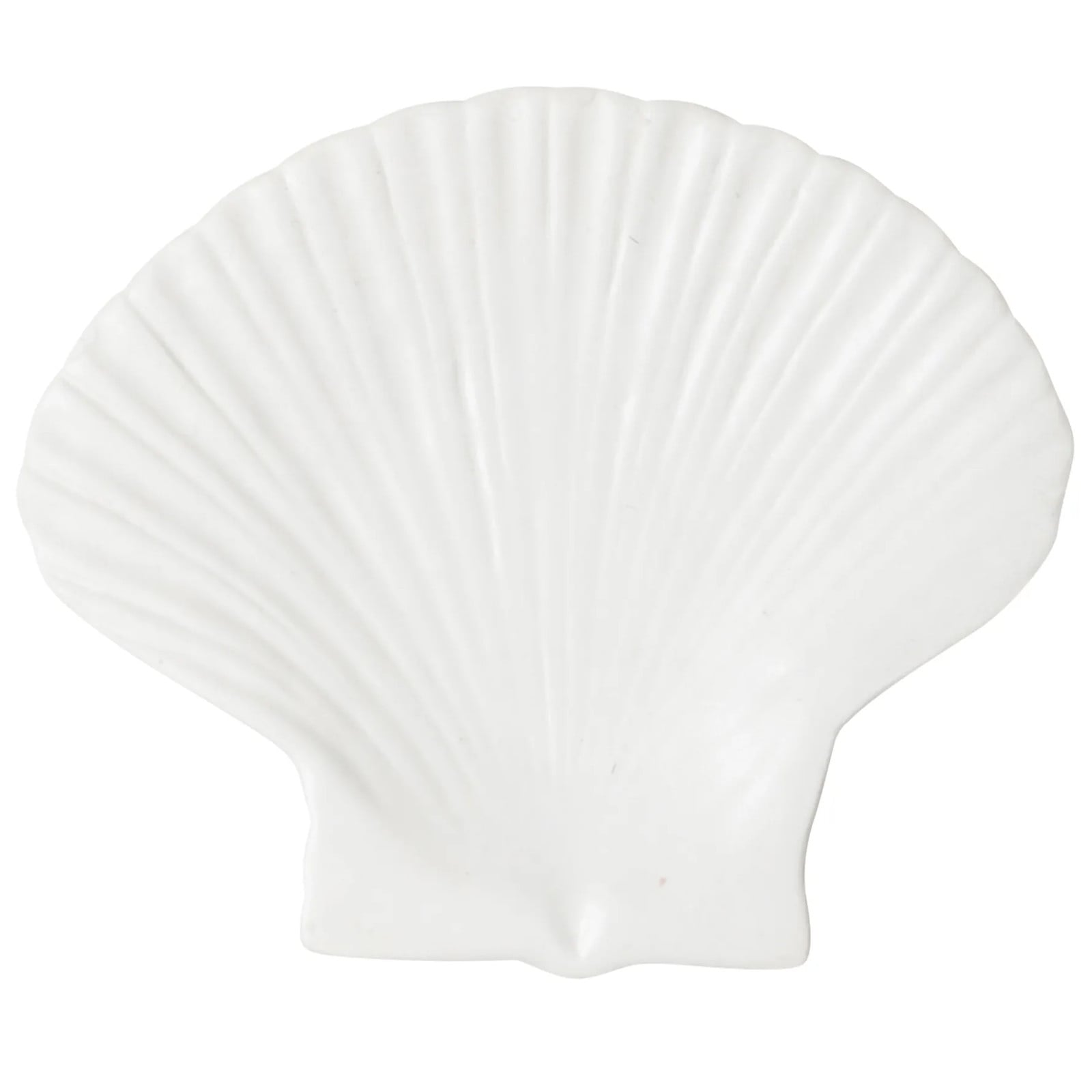 Byon Shell bord Groot