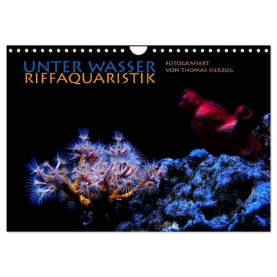 UNTER WASSER Riffaquaristik (Wandkalender 2027 DIN A4 quer), CALVENDO Monatskalender