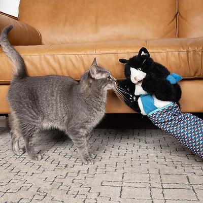 interaktives Katzen-Wrestling-Handschuh-Spielzeug mit strapazierfähiger Schutzhülle und Katzenminze - zum Spielen Anreicherung