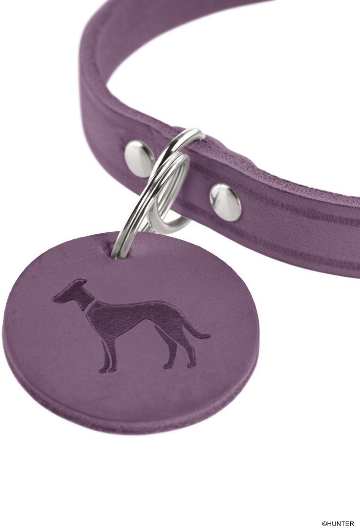 DOG SPORT HUNTER Halsband Aalborg S (42), lila [Limited Edition]