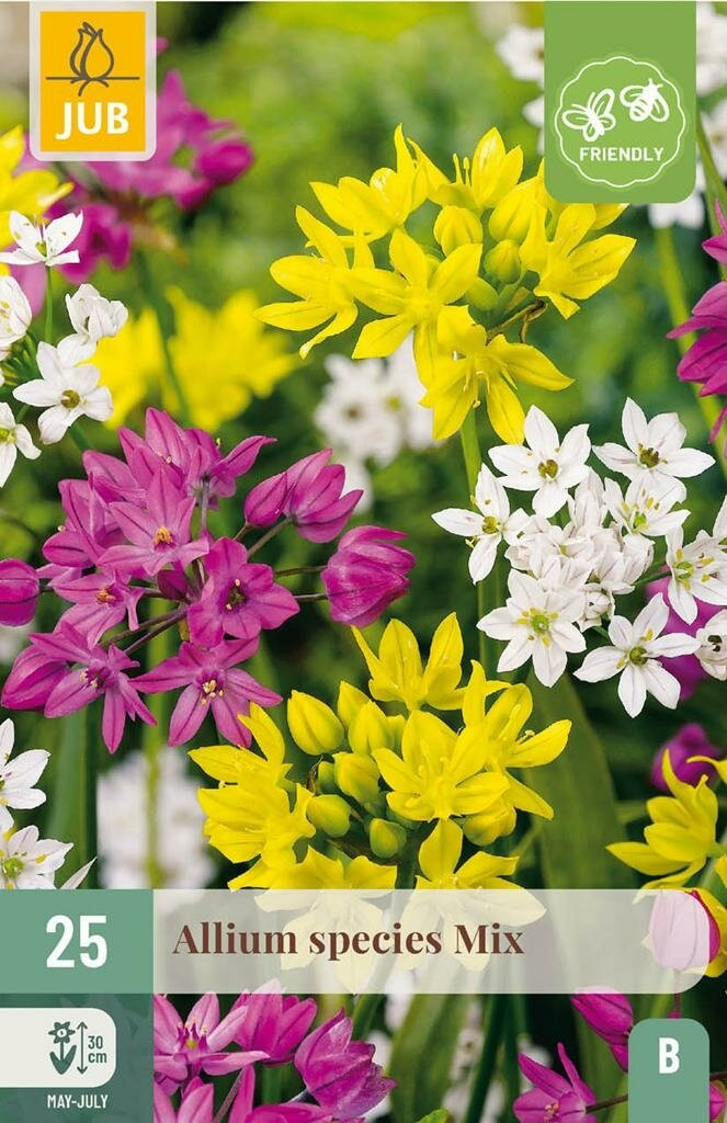 Jub Allium species mix 25 bollen