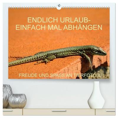 Freude und Spaß an Tierfotos (hochwertiger Premium Wandkalender 2027 DIN A2 quer), Kunstdruck in Hochglanz