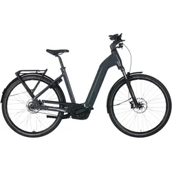Flyer G1 Gotour 5.43 CX 750 Wh Damen grau 2026 - 29" - 53 cm