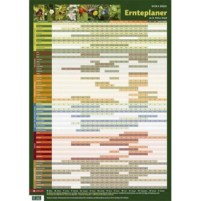 Ernteplaner, Poster von Markus Strauss, Hädecke Verlag, 978-3-7750-0795-5