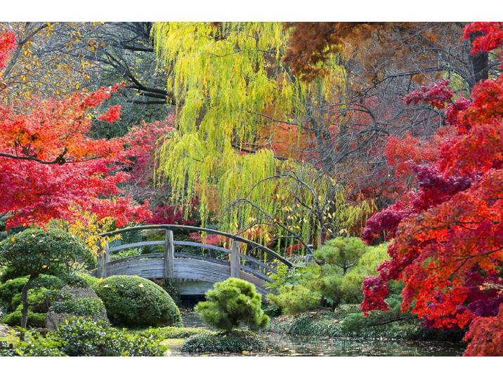 Fototapete PAPERMOON GARTEN-NATUR WALD BÄUME HERBSTLANDSCHAFT BLUMEN SEE XXL , bunt, B:3m L:2,23m, Vlies, Tapeten, Fototapete
