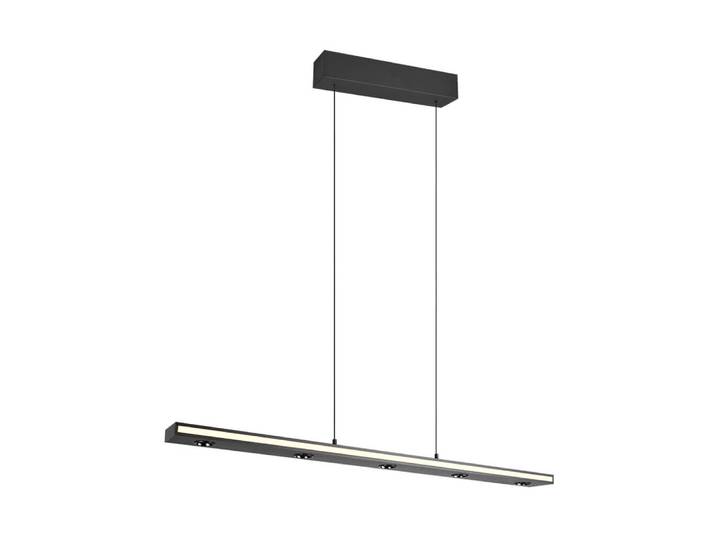 Design hanglamp Graham zwart Trio - 353010132