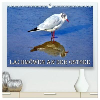 Lachmöwen an der Ostsee (hochwertiger Premium Wandkalender 2027 DIN A2 quer), Kunstdruck in Hochglanz