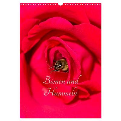 Bienen und Hummeln (Wandkalender 2026 DIN A3 hoch), CALVENDO Monatskalender