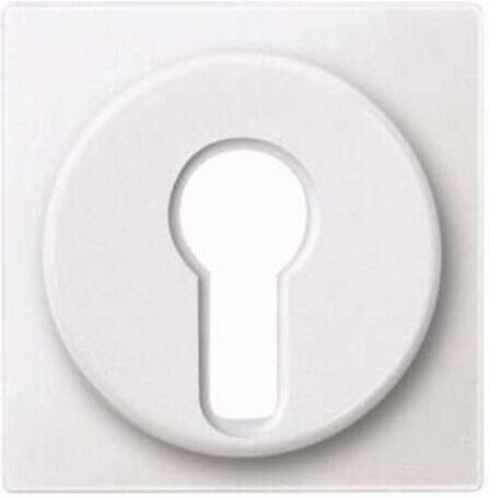 Merten Plaque centrale pws Insert à verrouillage interchangeable 318119 (318119)