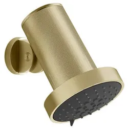 Gessi Habito Antikalk-Kopfbrause mit Gelenk, Regen, Wandmontage, DIAMANTATO, 57273727, Farbe: Messing gebürstet PVD