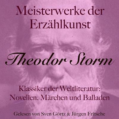 Theodor Storm: Meisterwerke der Erzählkunst - Theodor Storm, Audio, 9783754521977