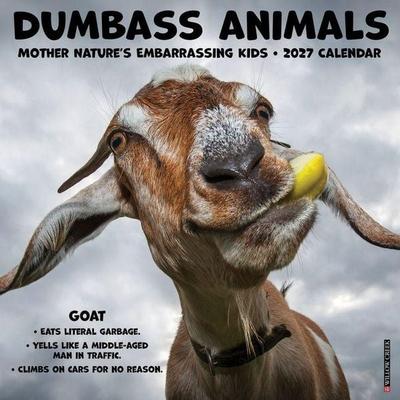 Dumbass Animals 2027 12 X 12 Wall Calendar