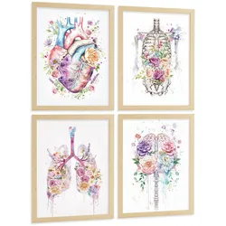 POSTER Set aus 4 Anatomie Mensch Drucke und mit Herz Gehirn Lungen Luftröhre Bronchien Wirbelsäule Florales Aquarell Design Leichter Holzrahmen A4