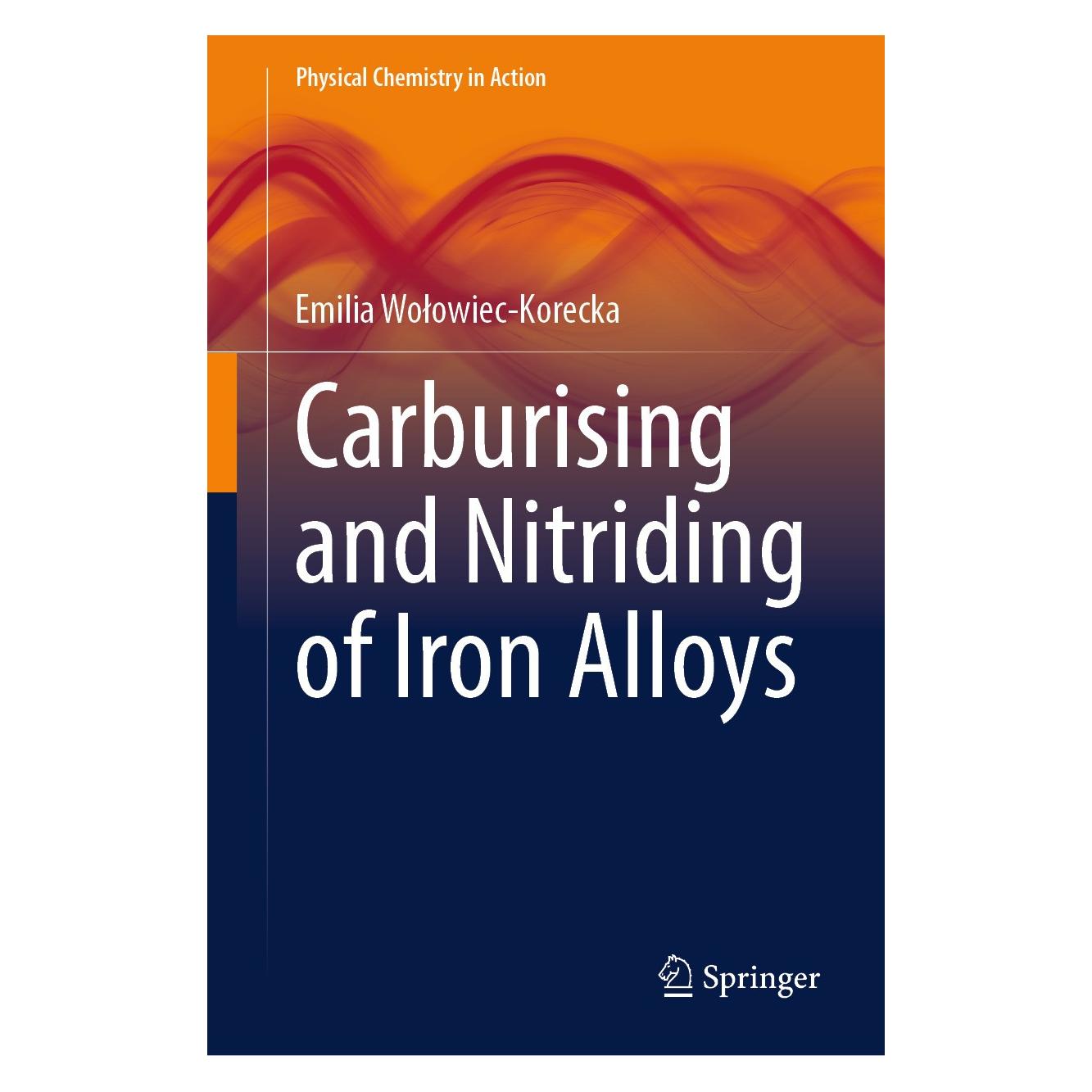 Springer Carburising and Nitriding of Iron Alloys (Englisch, Hardcover, Emilia Wołowiec-Korecka) (9783031598616)