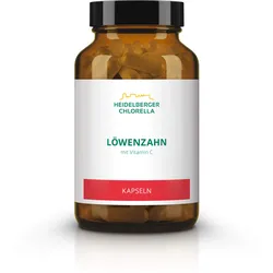Löwenzahn 54 G