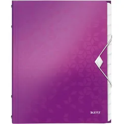 LEITZ Ordnungsmappe DIN A4 12-Fach  violett