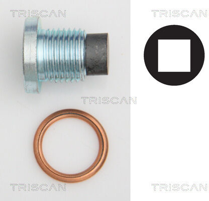 Triscan Verschlussschraube, Ölwanne 9500 2801 Für Peugeot
