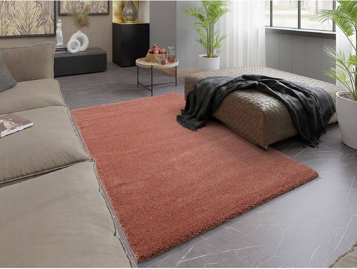 Kurzflorteppich Moss Mono Rot/Rot 160 x 230cm Polypropylen