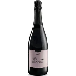 Pjenusac Brut Natur 2020 Giorgio Clai 0,75l