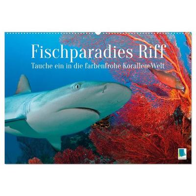 Fischparadies Riff (Wandkalender 2027 DIN A2 quer), CALVENDO Monatskalender