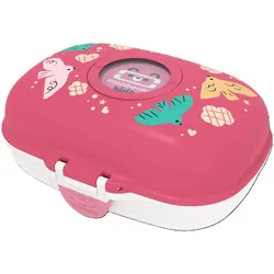 Snackbox BIRDS (LBH 15x11x7 cm) - LBH 15x11x7 cm