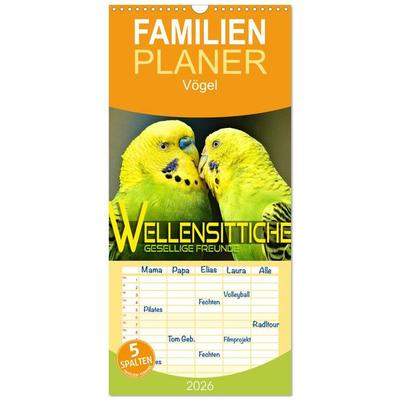 Familienplaner 2026 - Wellensittiche - gesellige Freunde mit 5 Spalten (Wandkalender, 21 x 45 cm) CALVENDO