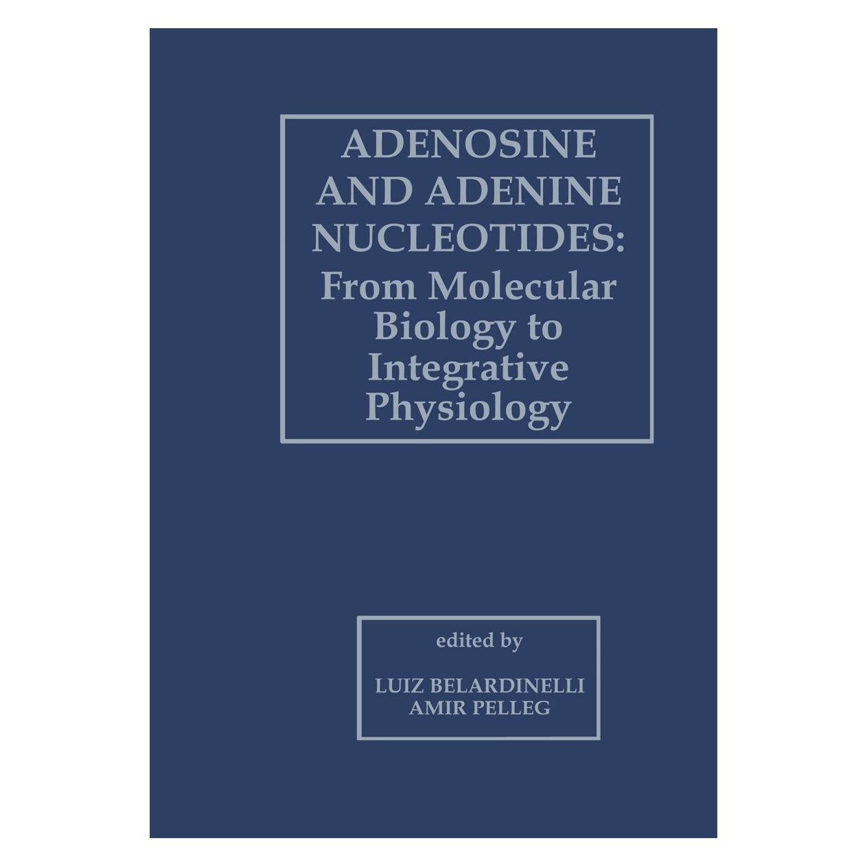 Springer Adenosine and Adenine Nucleotides: From Molecular Biology to Integrative Physiology (Englisch, Hardcover, Amir Pelleg, Luiz Belardinelli) (9780792331902)
