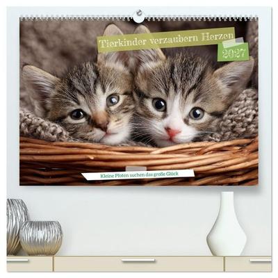 Tierkinder verzaubern Herzen (hochwertiger Premium Wandkalender 2027 DIN A2 quer), Kunstdruck in Hochglanz
