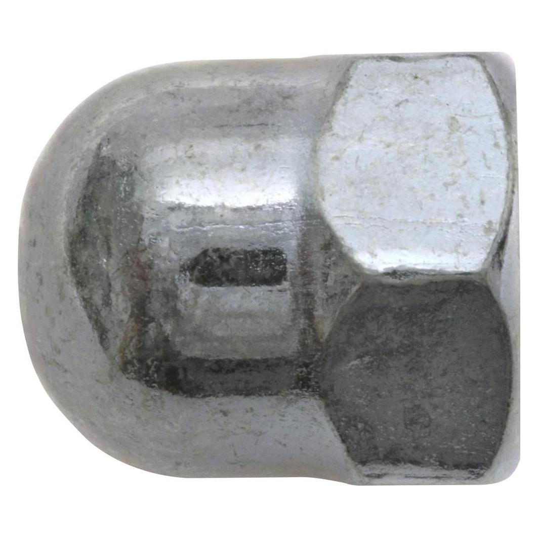 SWG 356 8 25 Sechskant-Hutmuttern M8 DIN 1587 Stahl verzinkt 100St. (M8) (356 8 25)