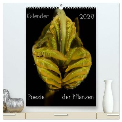 Poesie der Pflanzen (hochwertiger Premium Wandkalender 2026 DIN A2 hoch), Kunstdruck in Hochglanz