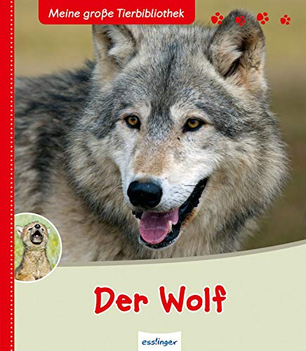 Christian Havard - Der Wolf (Meine große Tierbibliothek) - Preis vom 04.10.2026 03:51:26 h