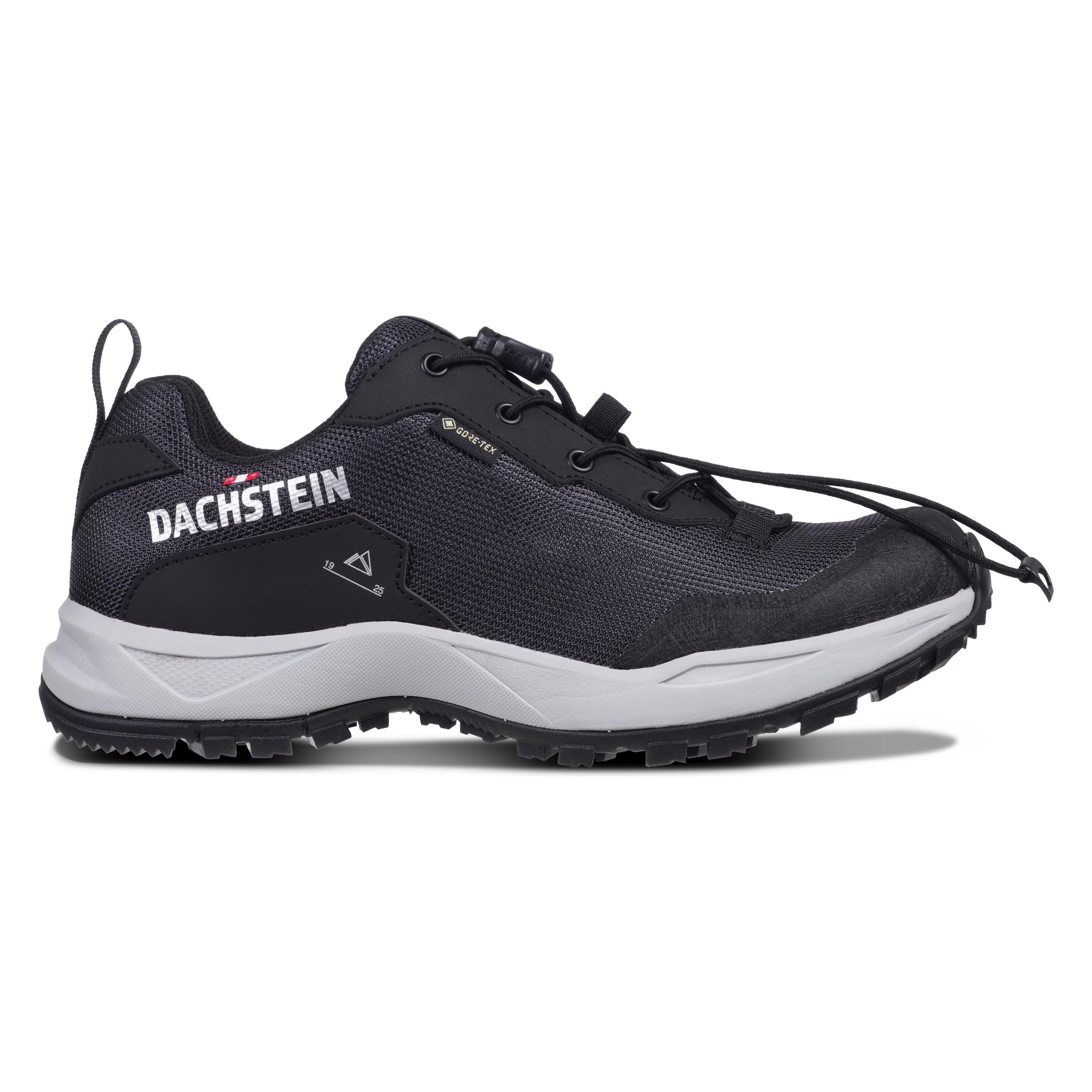 Dachstein Women's Delta Ascent GTX (38.5) (526600)